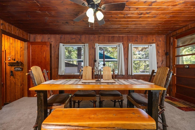 carpeted dining area with plenty of natural light and wood walls