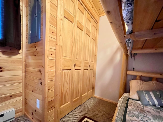 interior space with wooden walls and a closet