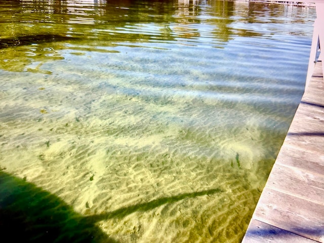 view of water feature