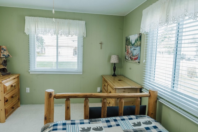 bedroom featuring carpet flooring and multiple windows