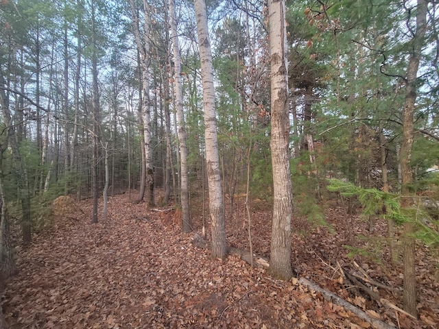 V/L County Rd 487 .9Acre, Atlanta MI, 49709 land for sale