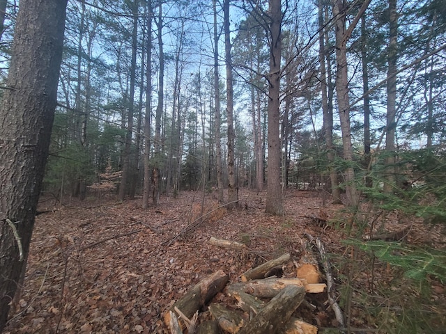 Listing photo 2 for V/L County Rd 487 .9Acre, Atlanta MI 49709