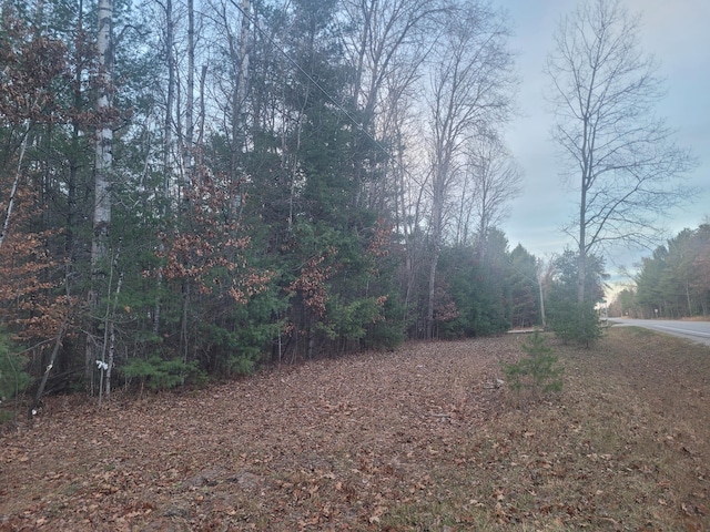 Listing photo 3 for V/L County Rd 487 .9Acre, Atlanta MI 49709