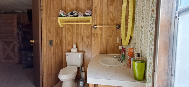 bathroom featuring wooden walls, toilet, and vanity