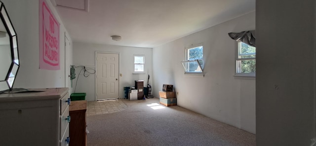 entrance foyer featuring carpet flooring and plenty of natural light