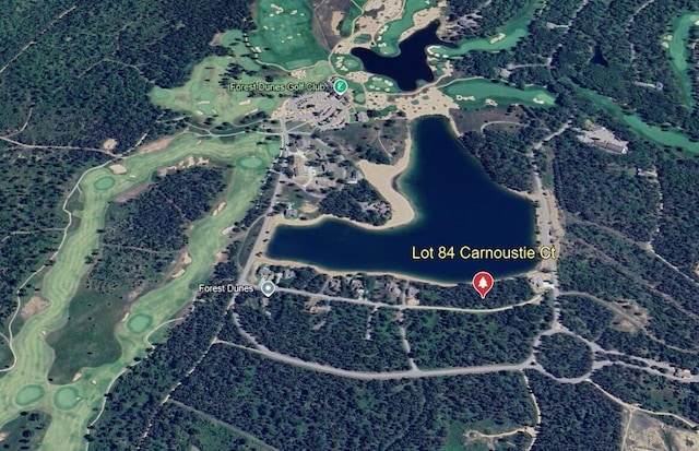 Listing photo 3 for LOT84 Carnoustie Ct, Roscommon MI 48653