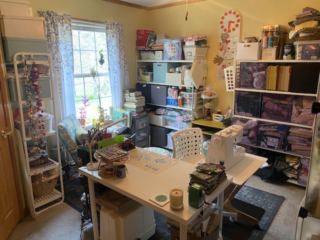 office space featuring carpet and crown molding