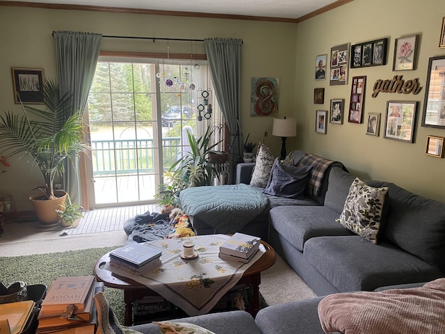 carpeted living room with crown molding