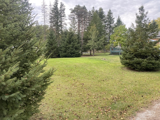 view of yard featuring a trampoline