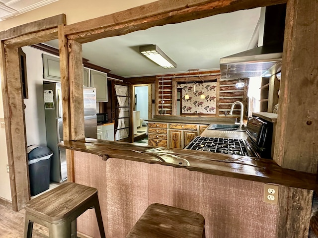 kitchen with kitchen peninsula, island range hood, stainless steel appliances, crown molding, and sink