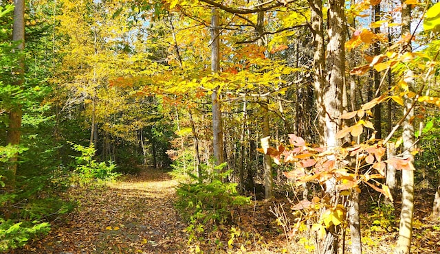 view of nature