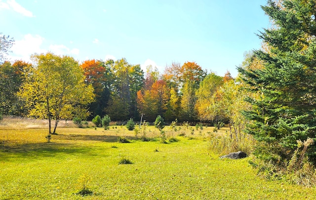 view of yard featuring a rural view