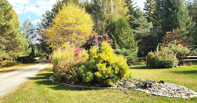 view of home's community with a lawn