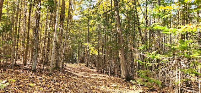 view of nature