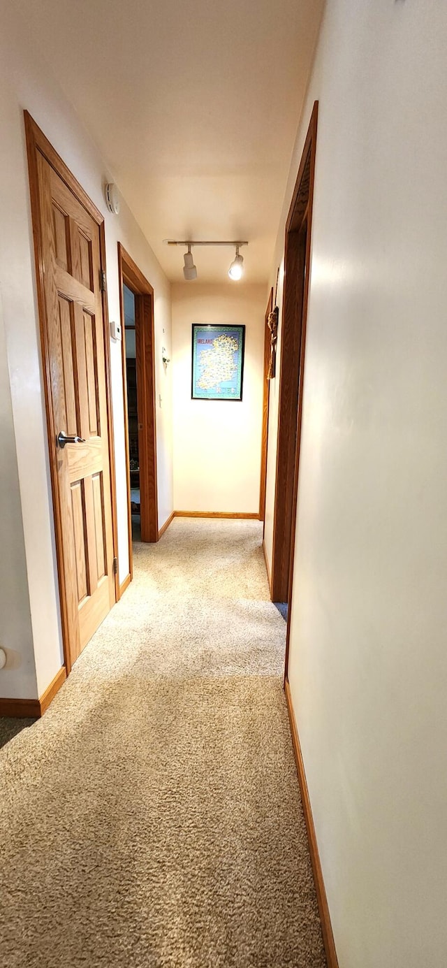 hallway featuring carpet flooring and rail lighting