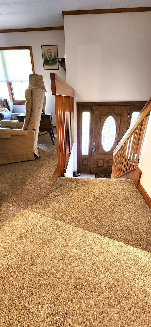 carpeted entryway featuring crown molding