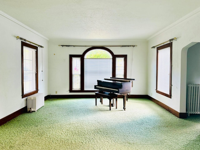 miscellaneous room featuring radiator, carpet flooring, and a healthy amount of sunlight