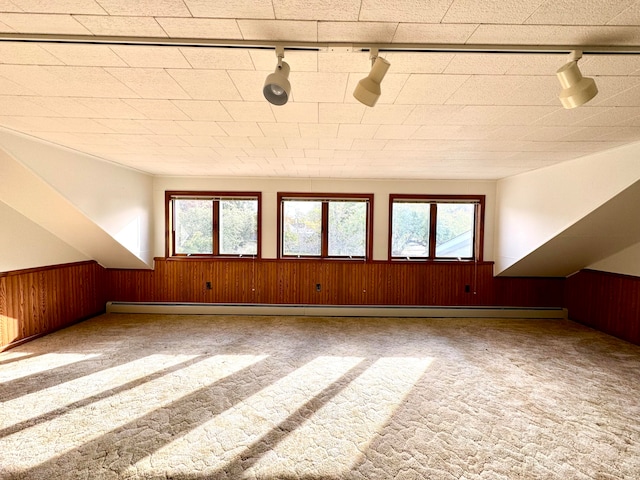 bonus room featuring carpet, wooden walls, and a healthy amount of sunlight