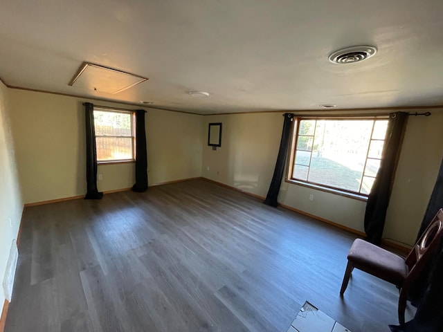 spare room featuring hardwood / wood-style floors and plenty of natural light