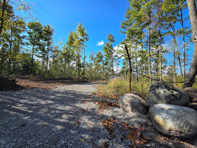 Listing photo 3 for PARCEL4 Farrier Rd, Hillman MI 49746