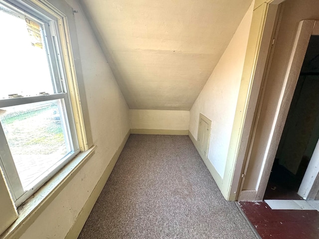 bonus room featuring carpet floors and vaulted ceiling