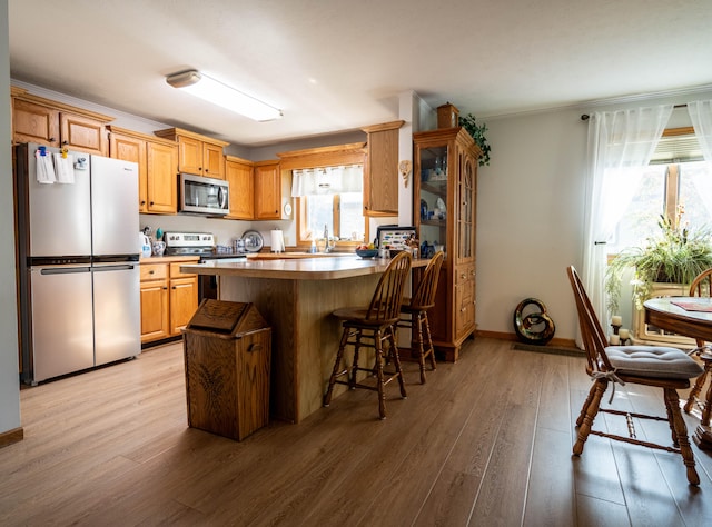 kitchen featuring light hardwood / wood-style floors, a healthy amount of sunlight, stainless steel appliances, and a breakfast bar area