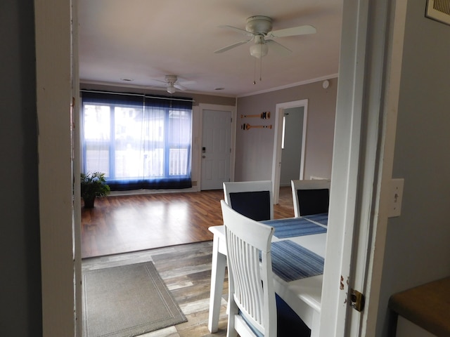 dining area featuring ceiling fan, ornamental molding, and light hardwood / wood-style flooring