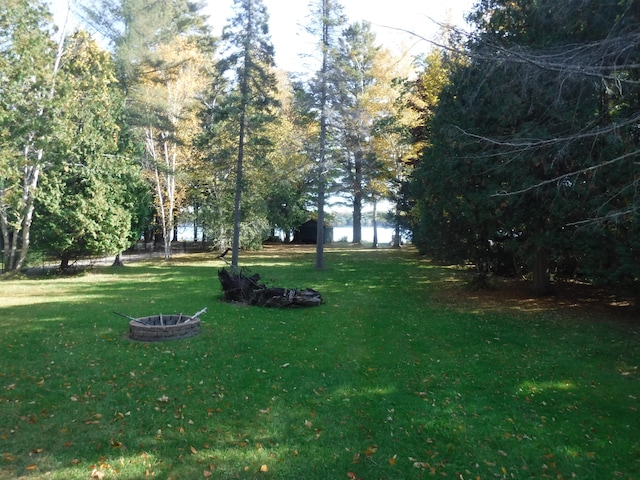 view of yard featuring a fire pit