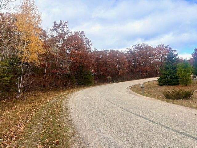 Listing photo 3 for LOT45 Pine St, Presque Isle MI 49777