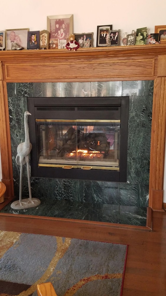 details with a fireplace and wood finished floors