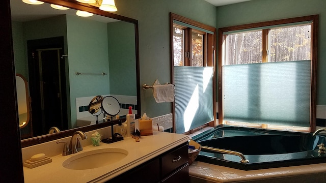 full bathroom featuring vanity and a bath