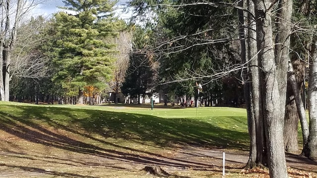 view of property's community featuring a yard