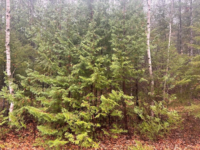 LOT231 Sunaqua Dr, Presque Isle MI, 49777 land for sale