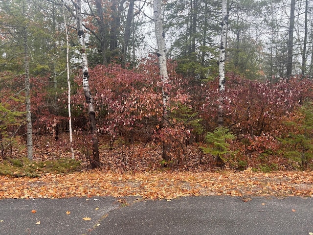 Listing photo 3 for LOT231 Sunaqua Dr, Presque Isle MI 49777