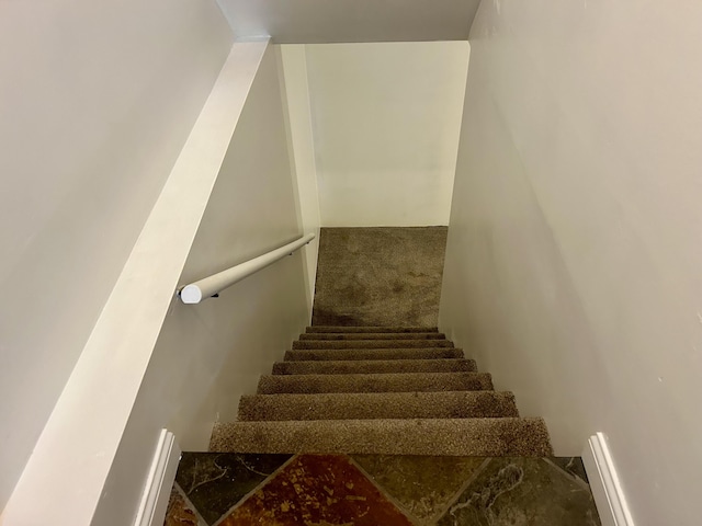 staircase featuring carpet flooring