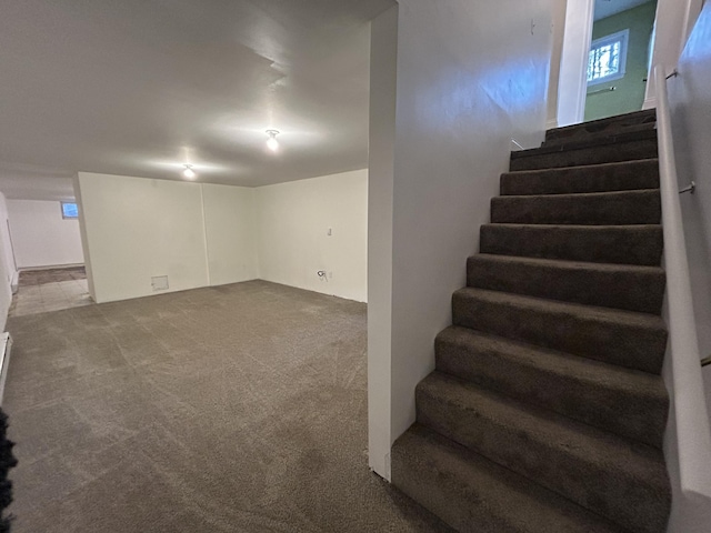 basement with carpet floors