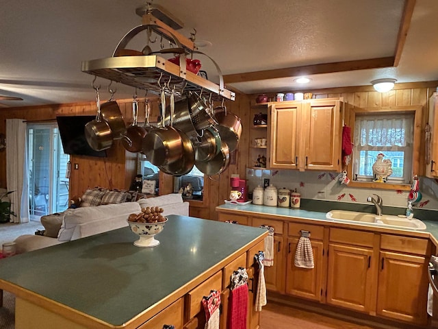 kitchen with wood walls, ceiling fan, and sink