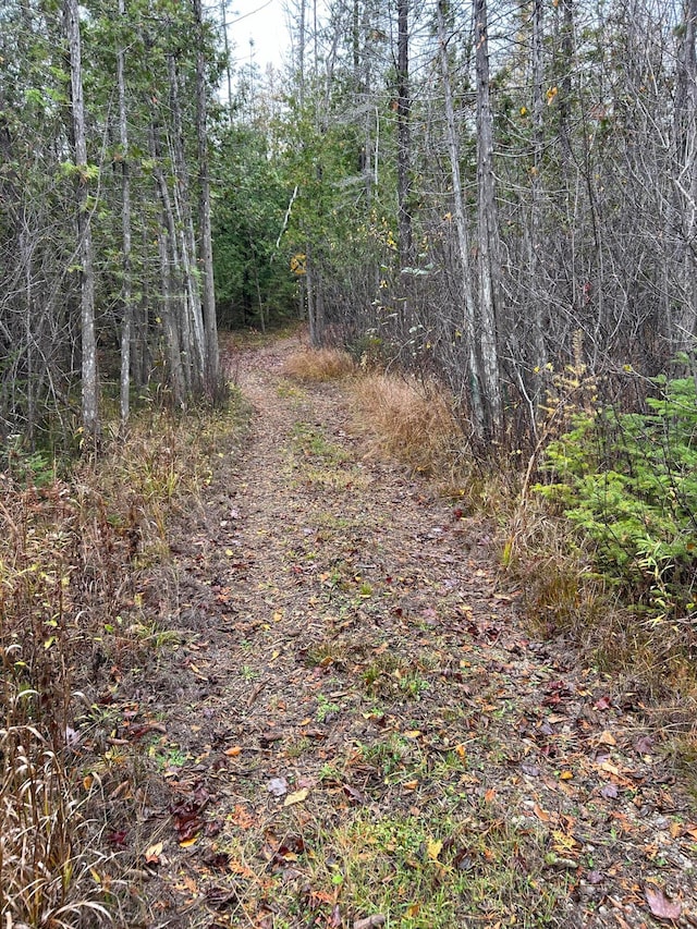 view of landscape