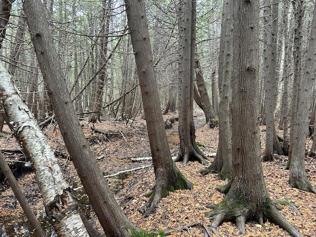 view of nature