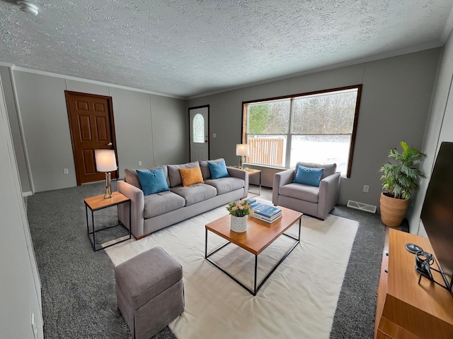 carpeted living room featuring a textured ceiling and crown molding