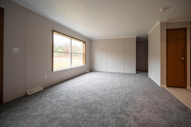 carpeted empty room featuring crown molding and a textured ceiling