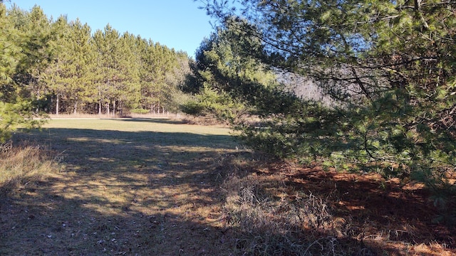 view of landscape