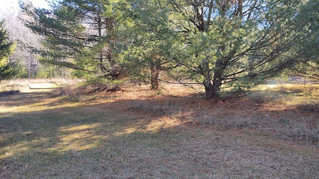 view of landscape