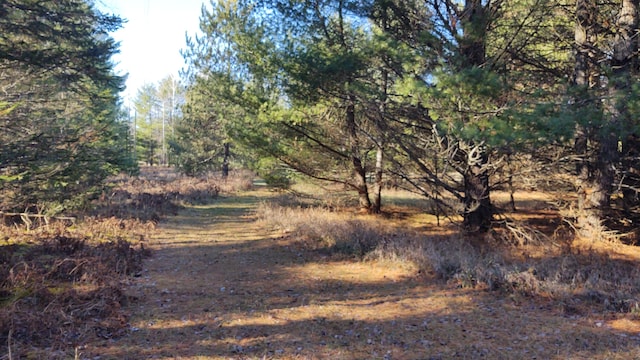 view of landscape