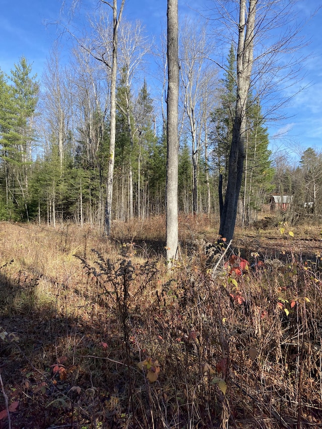 NHN Mcswain Rd Unit 2.29Acres, Atlanta MI, 49709 land for sale