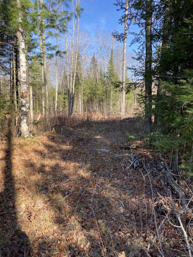 Listing photo 3 for NHN Mcswain Rd Unit 2.29Acres, Atlanta MI 49709