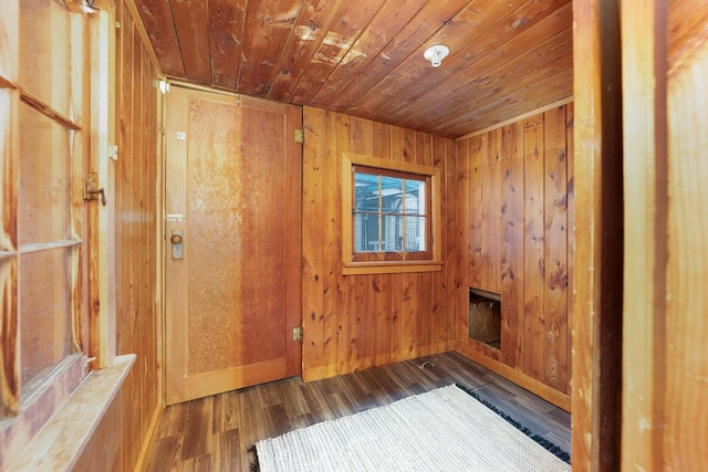 spare room with wooden walls and dark hardwood / wood-style floors