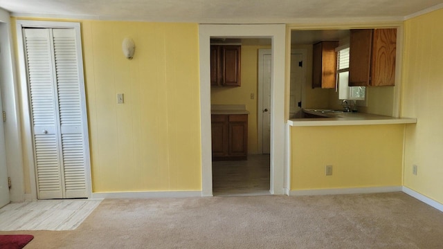 kitchen featuring light colored carpet and sink