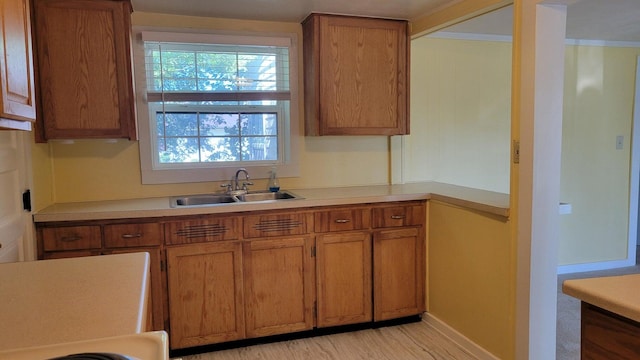 kitchen with light wood-type flooring and sink