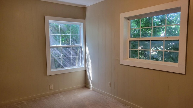 carpeted empty room with a wealth of natural light and wooden walls